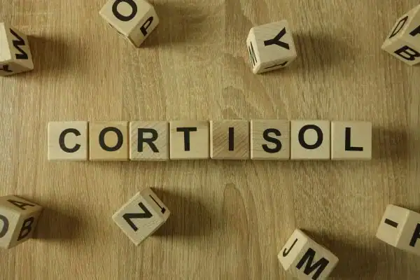 The Hidden Connection: How Stress Shapes Your Fitness and Body Composition 2 Image saying "Cortisol" and how stress Ashtead impacts your wellbeing and bodies shape